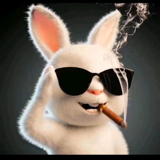 人生何所求 致富和自由