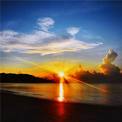 雪山下的战狼！