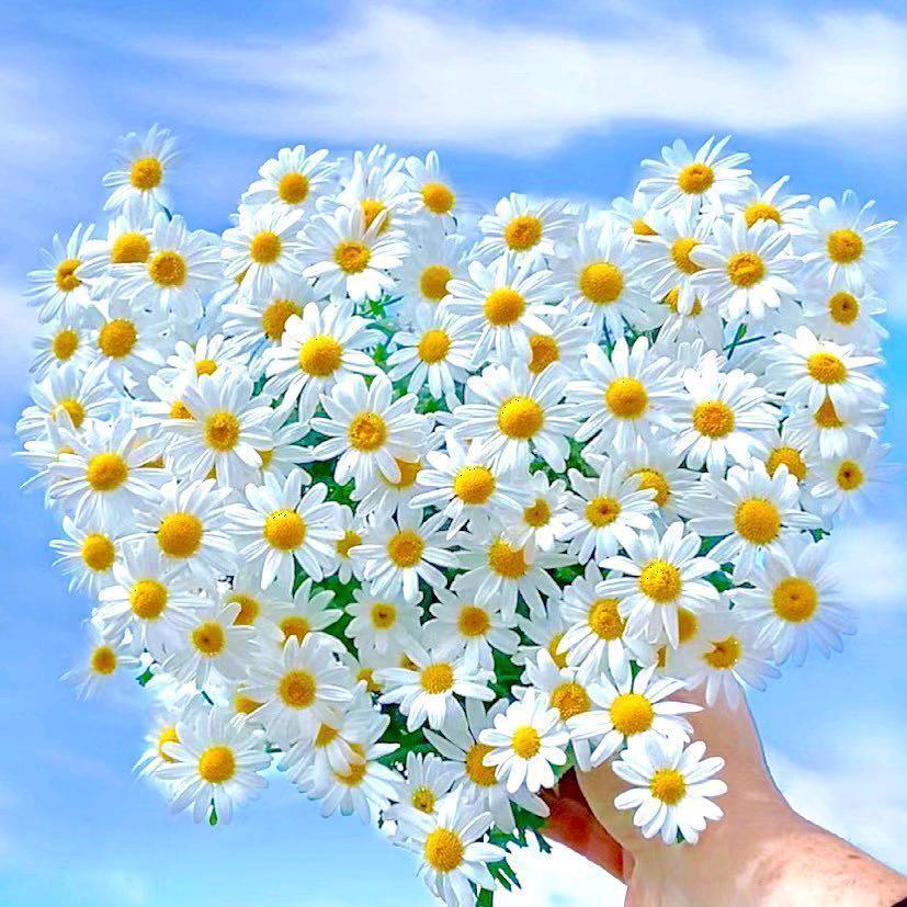 执笔♥画流年