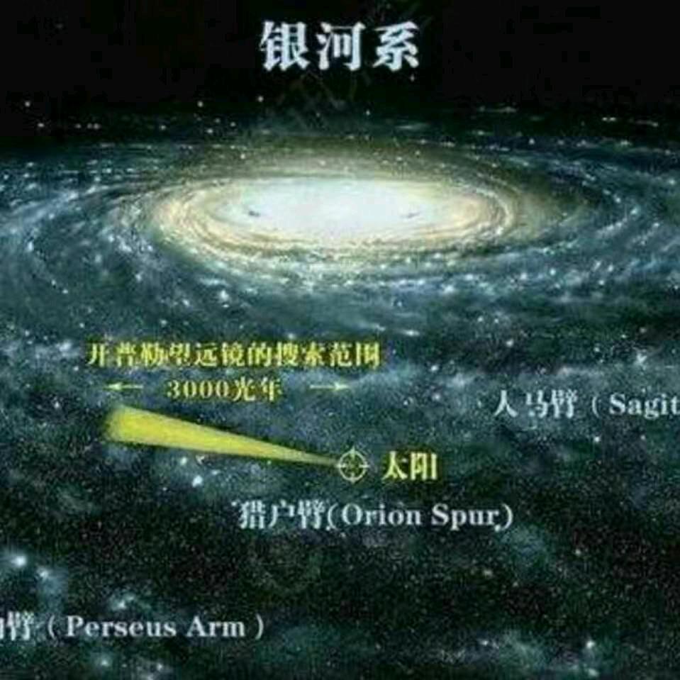 天涯339