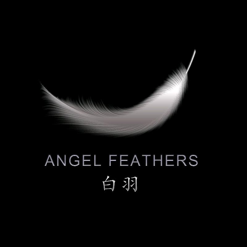 白羽贡掸