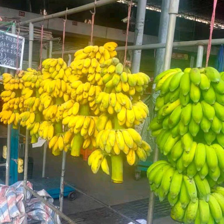 河南劉哥