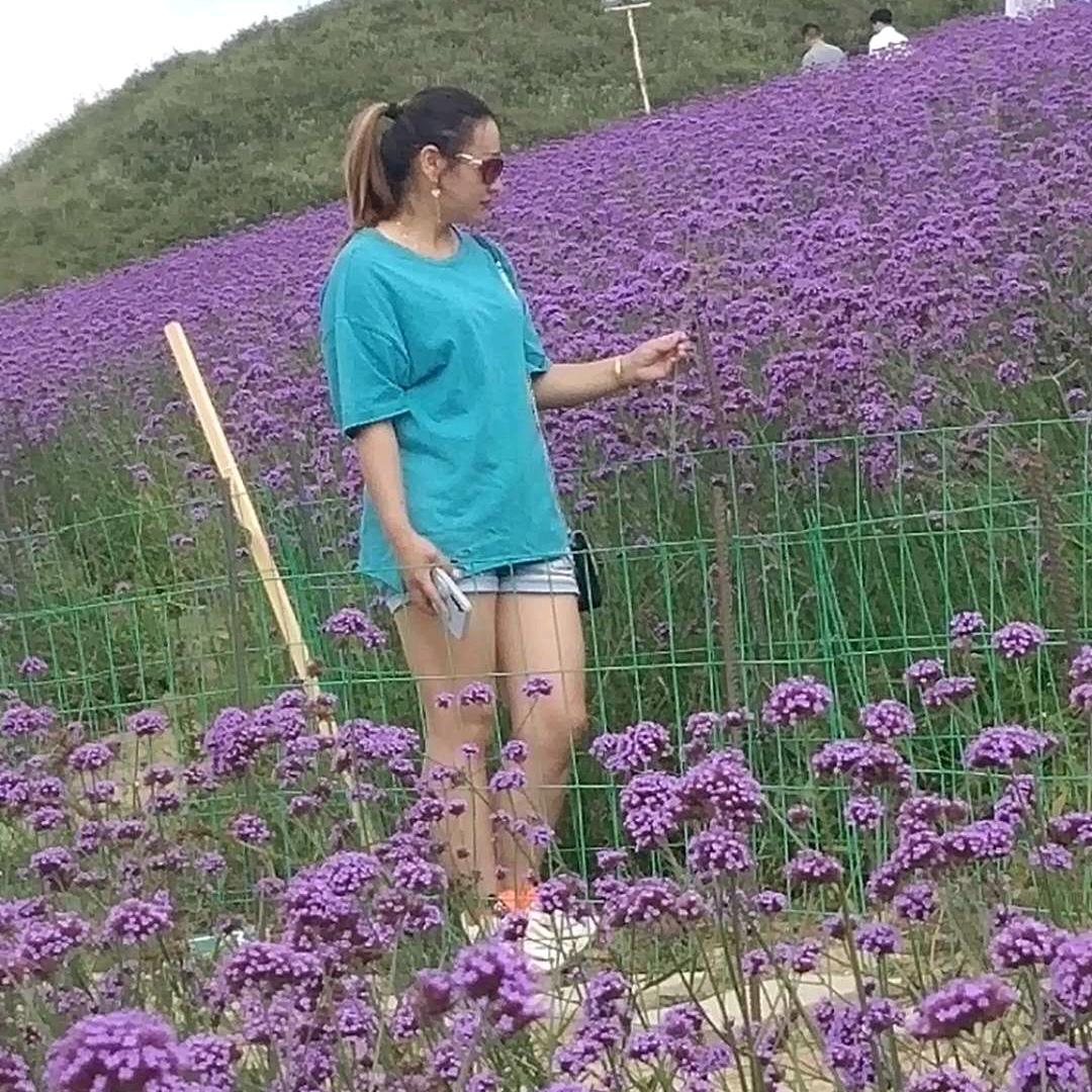 农村人✨✨