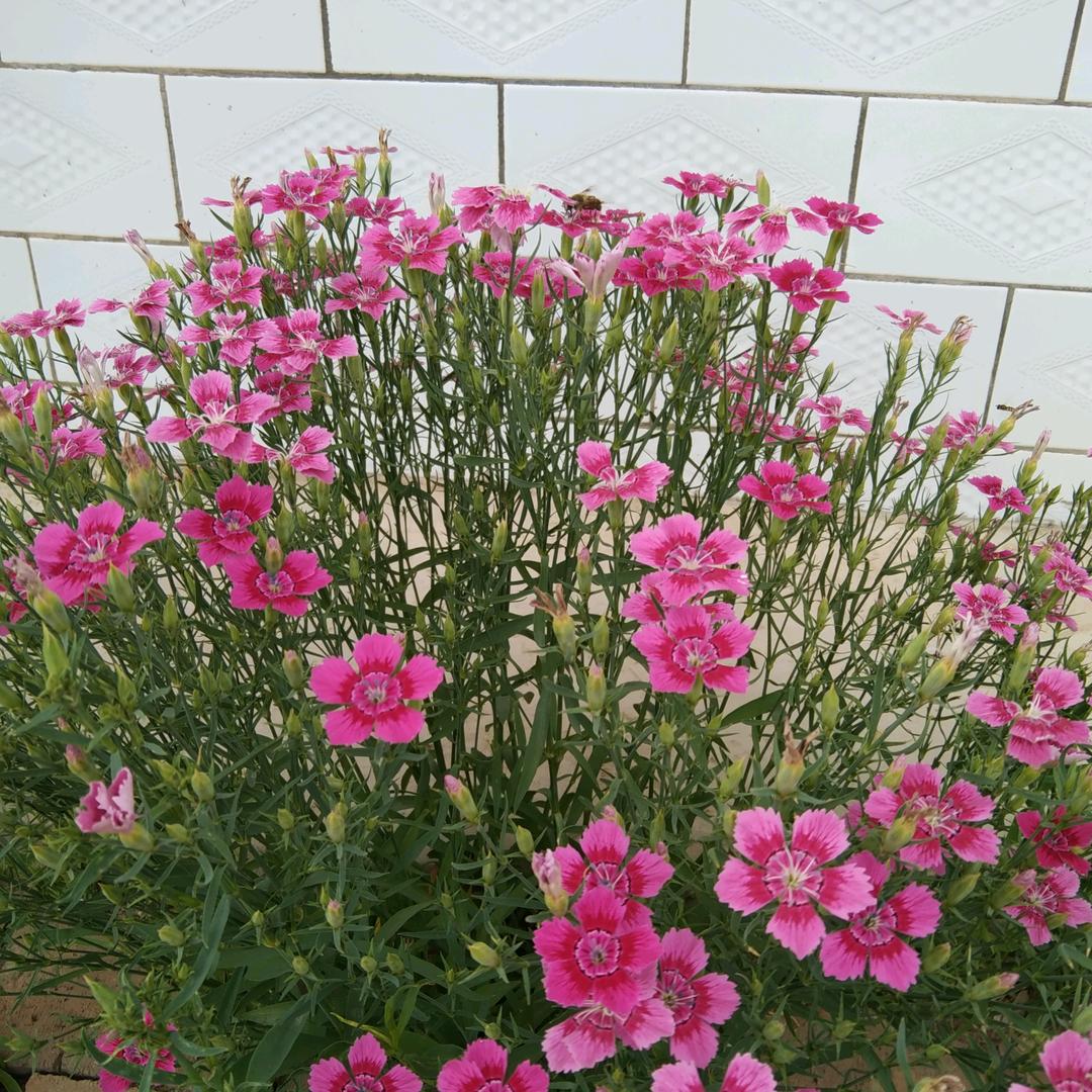 我是老李