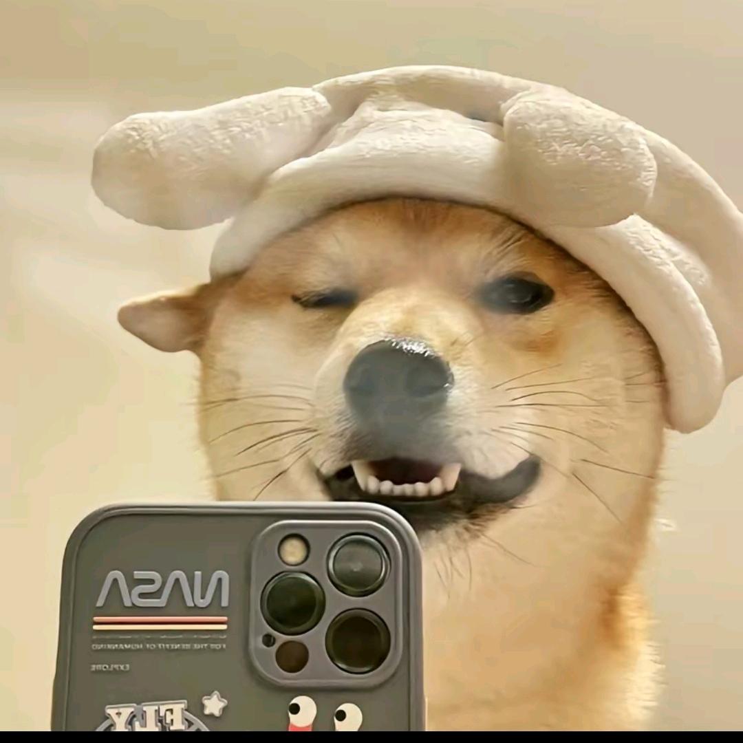 R哥们