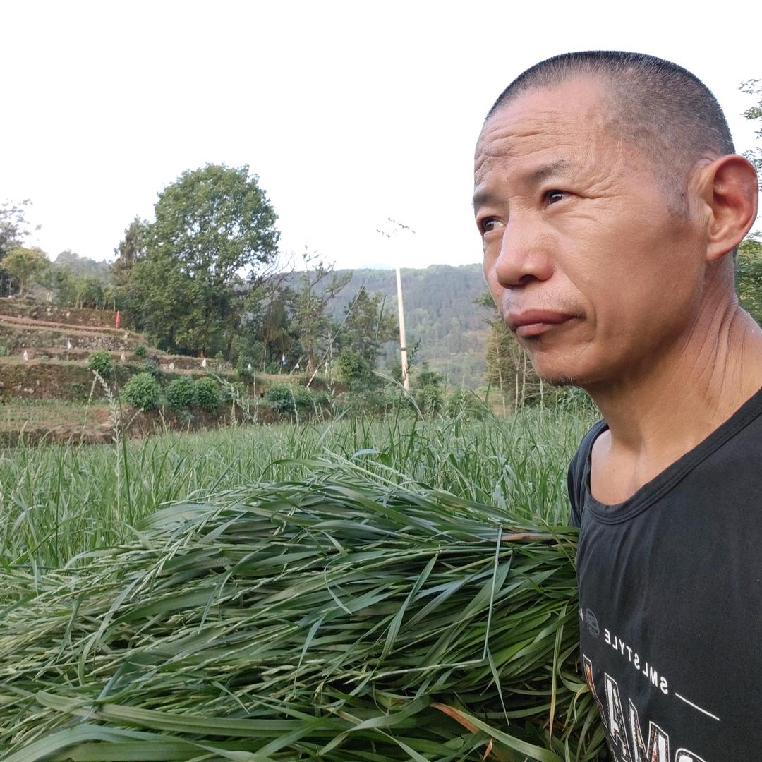 文华哥生态养殖(22.6养殖经验分享)