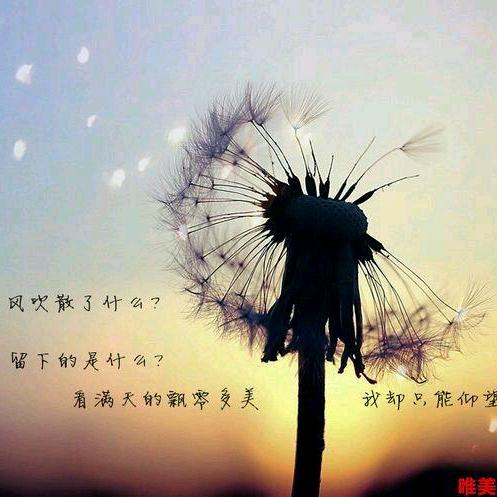 虚无缥缈之冷漠无情