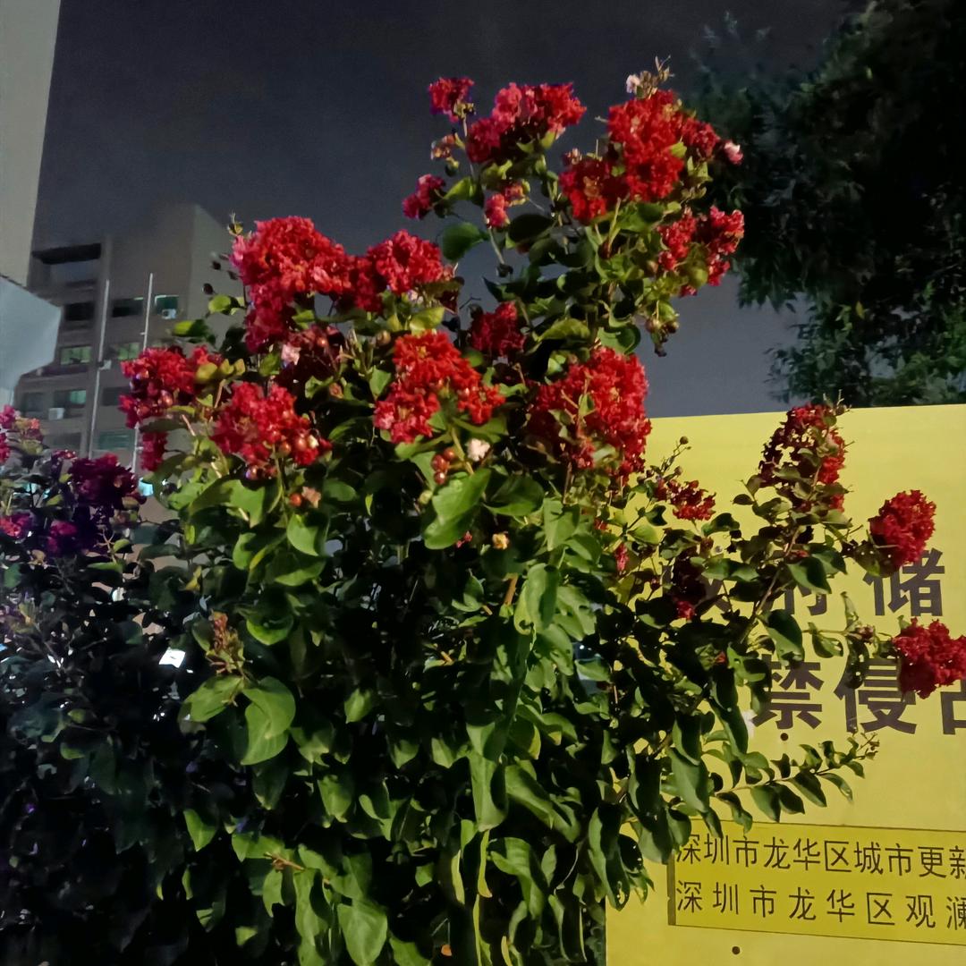 心疼自己，每一秒