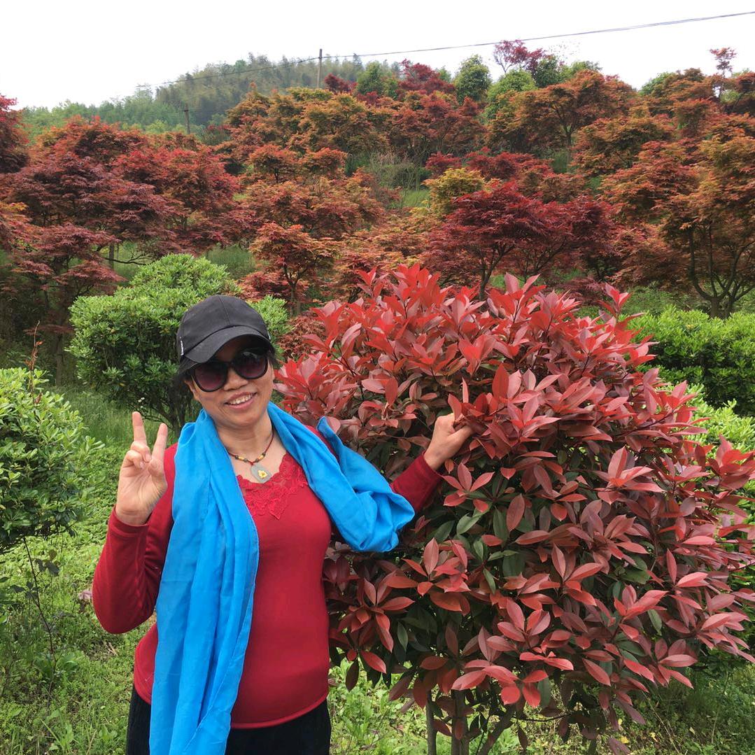 幸福花房