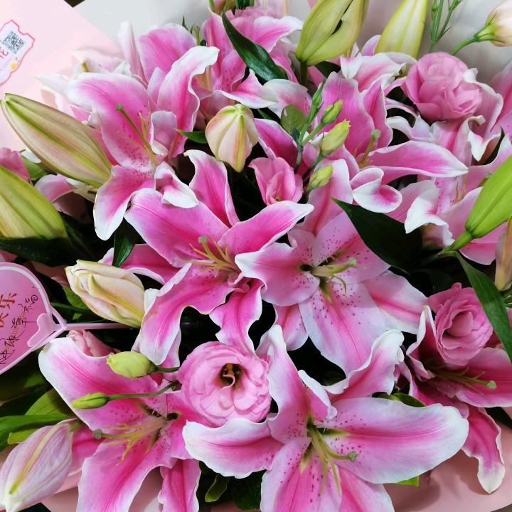 一花一世界141319