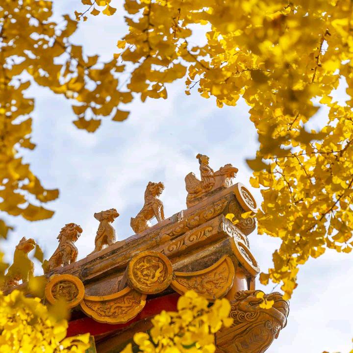 余庆荣