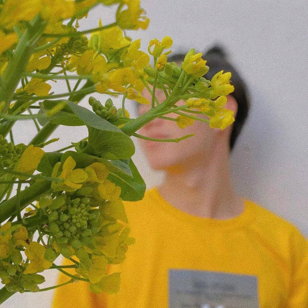 你的孤独虽败尤荣