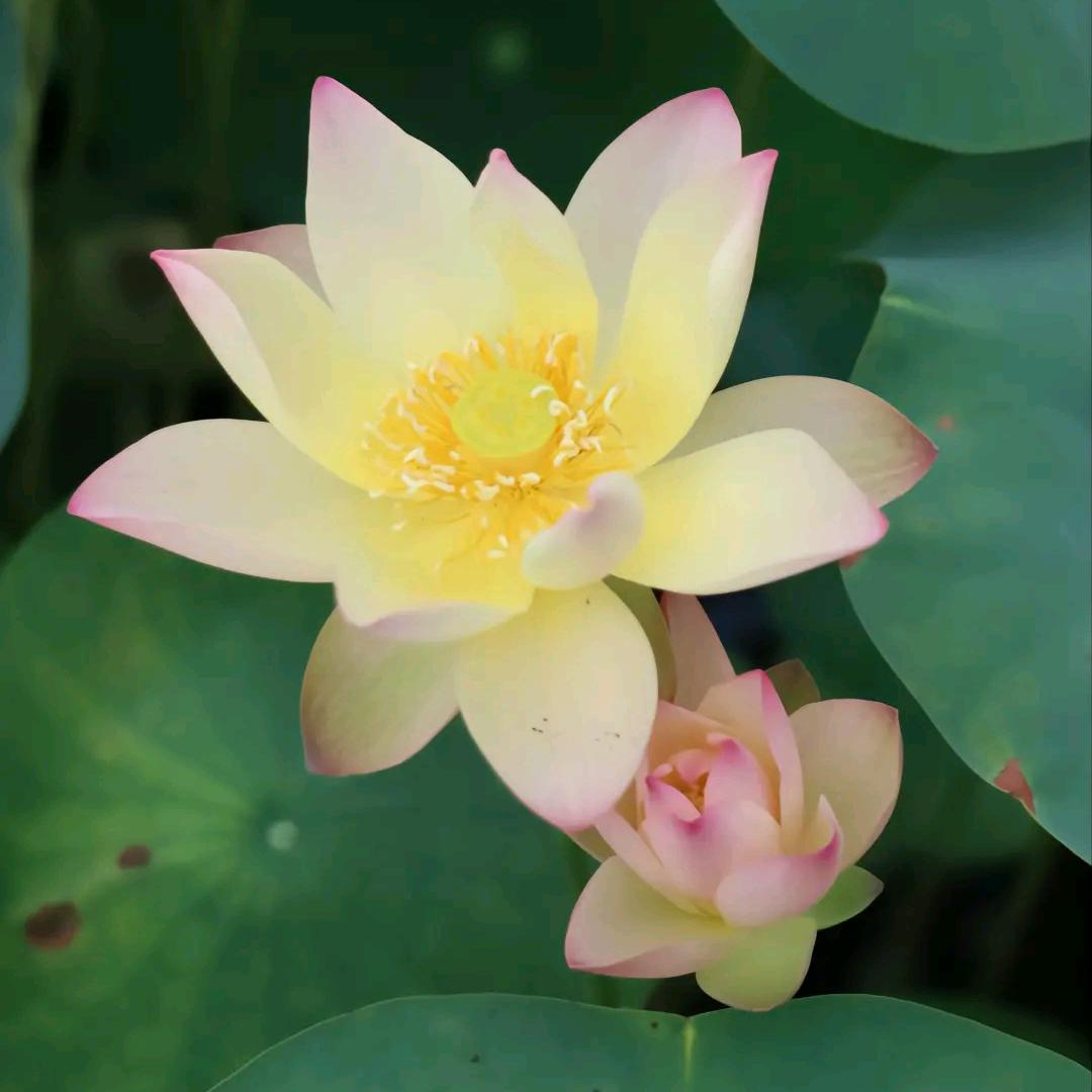 平安一生