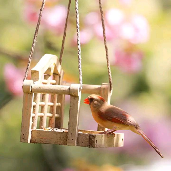 এ杯中烈酒໌ᮨ🚬敬余生🍶དྷ༗࿐