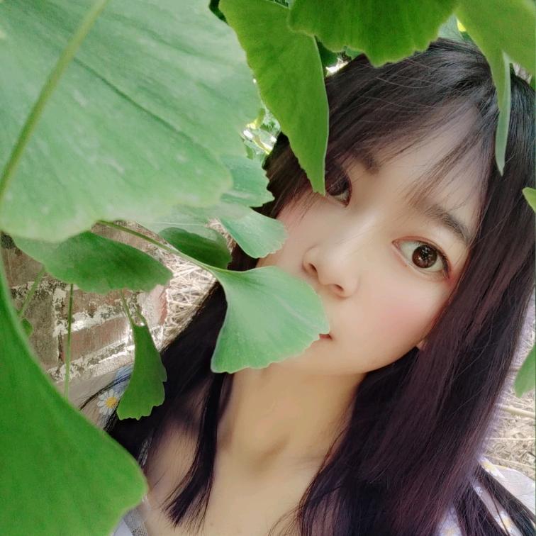 ξ不婚族う