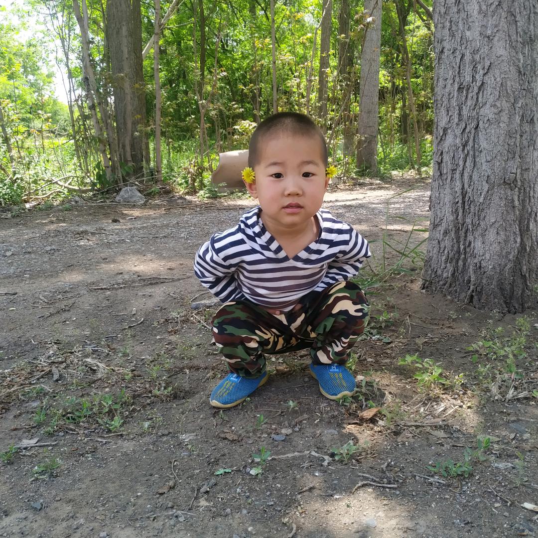 鑫鑫霖霖