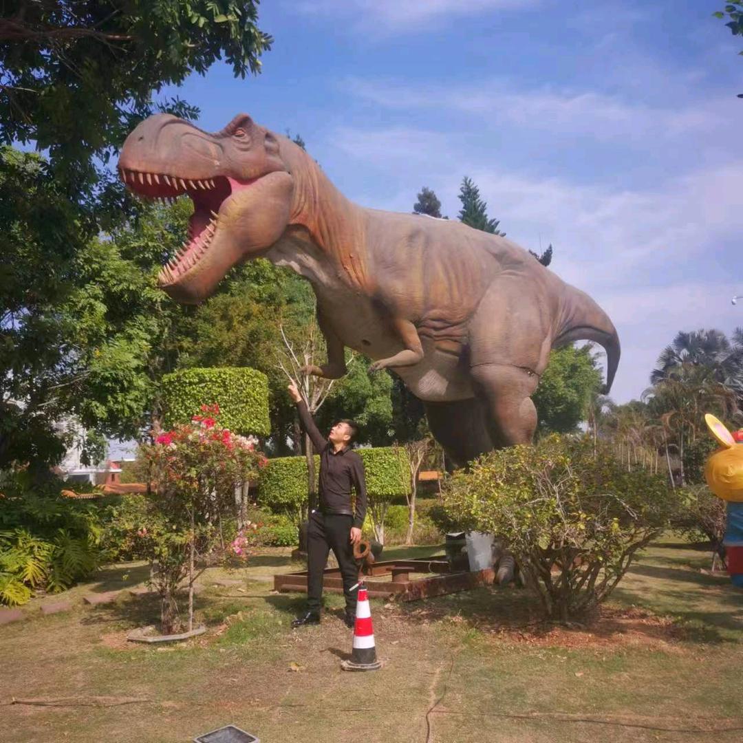 小刚（橱窗有好物）