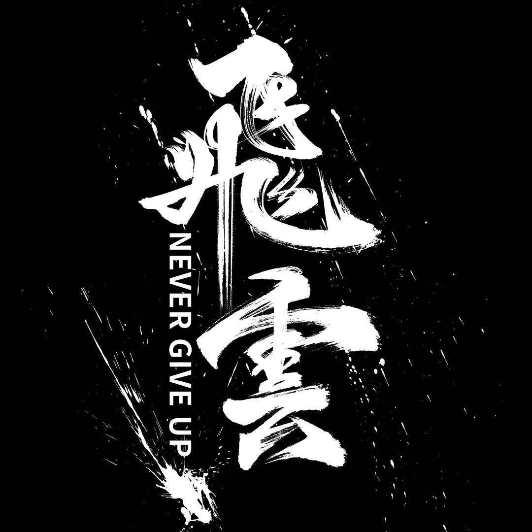 飞云武道
