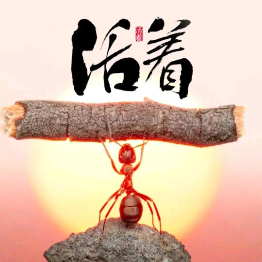 萧遥（江二）