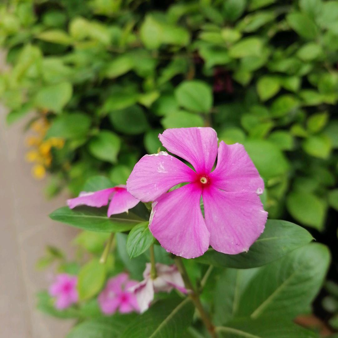 全职带娃的男人