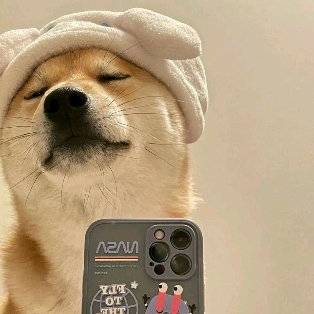 你脸怎么红了