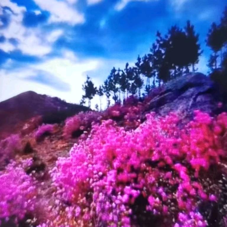 岁月