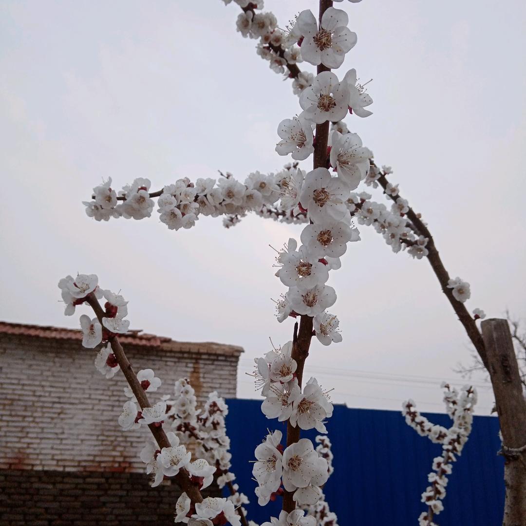 一帆风顺ZA|123456789