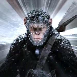 王老二带您逛西安