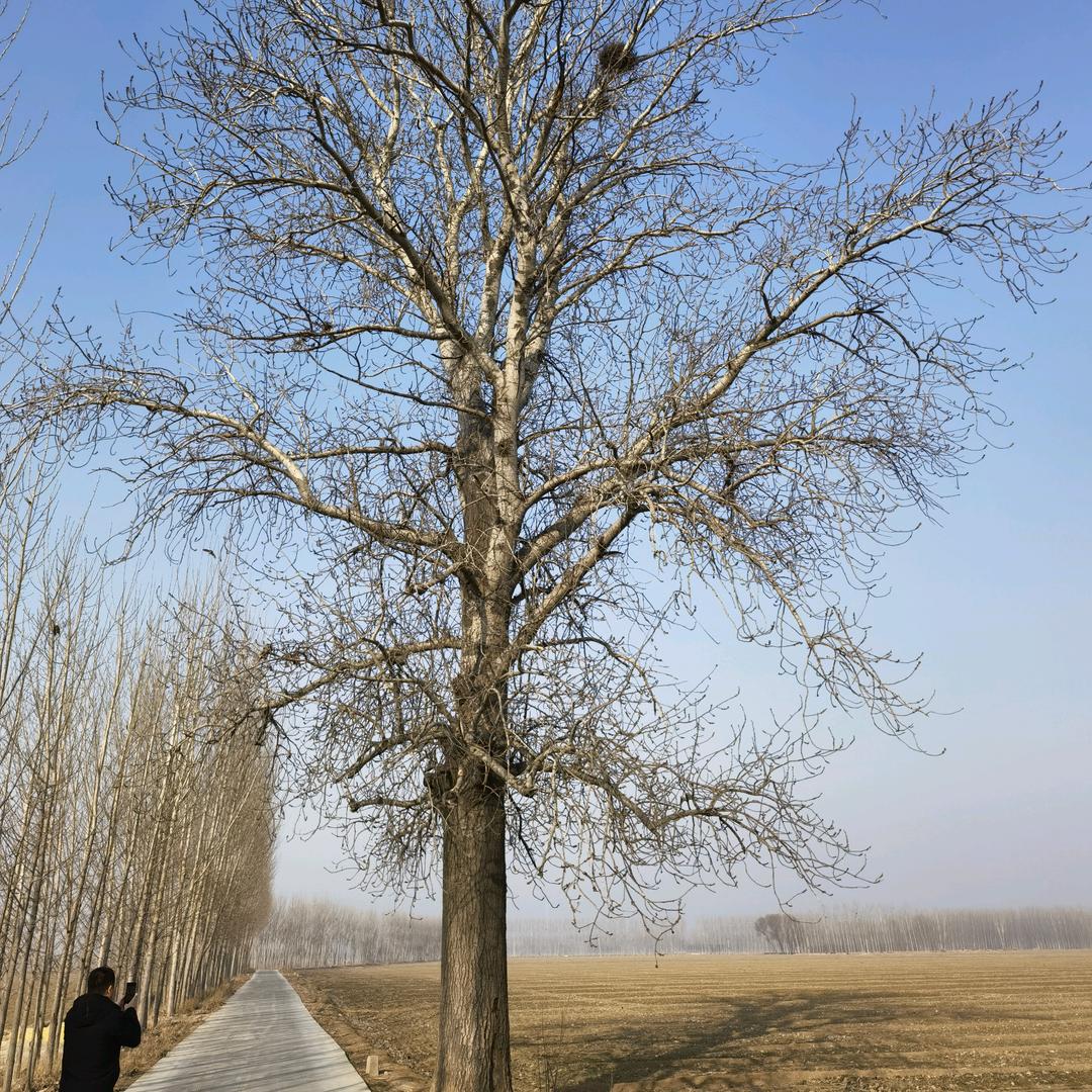 阿文，