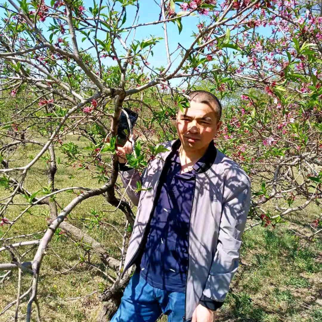 明天会更好风哥