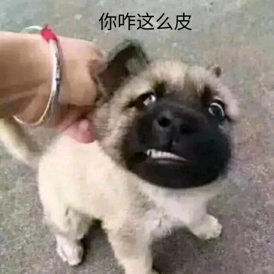 小糊涂仙