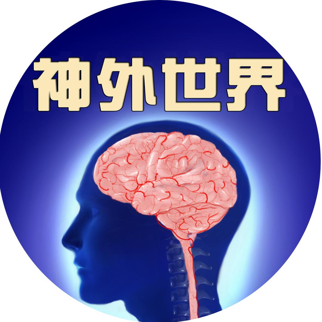 颅骨缺损保护帽