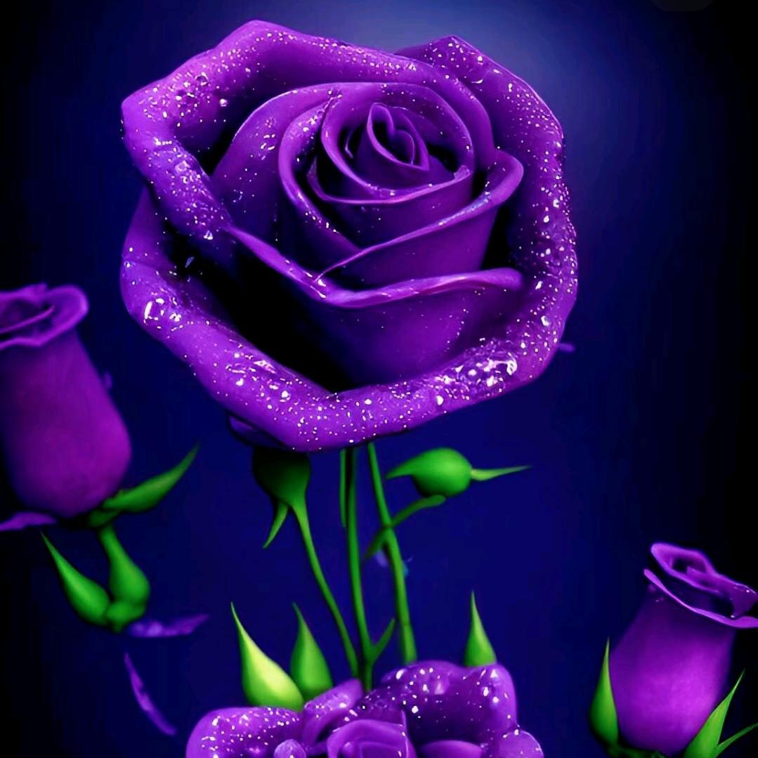 潞州区一对一提升李老师