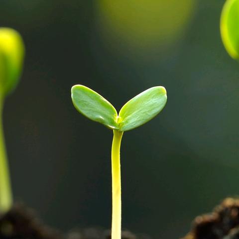 翰墨书香  斐然成章