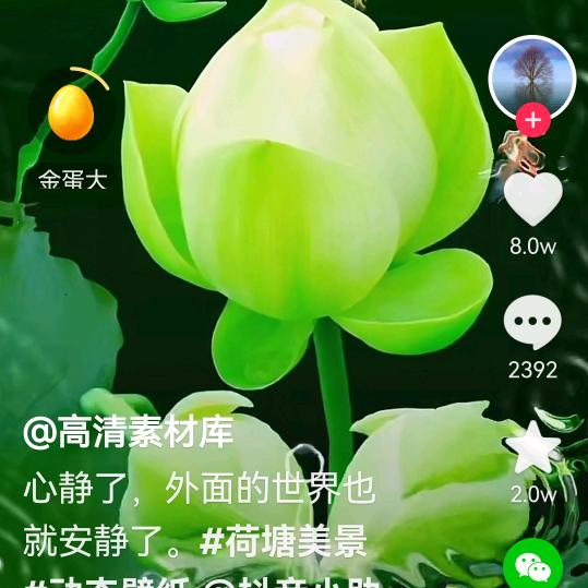 我爱俊