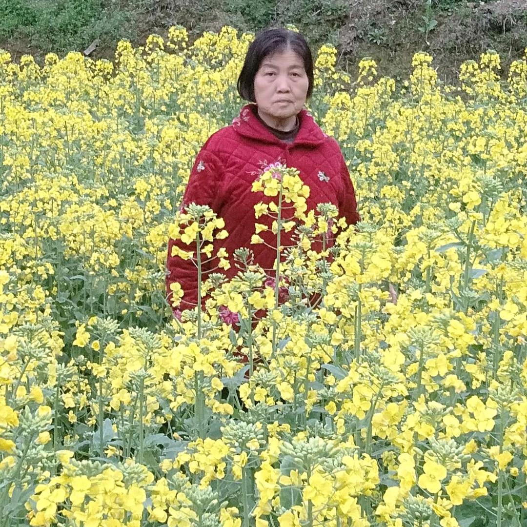 出淤泥而不染yjh
