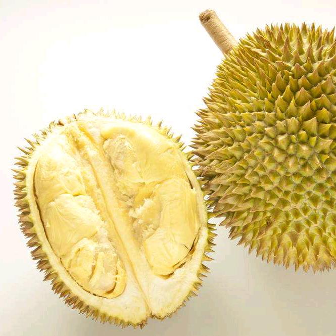 众和超级水果批发行