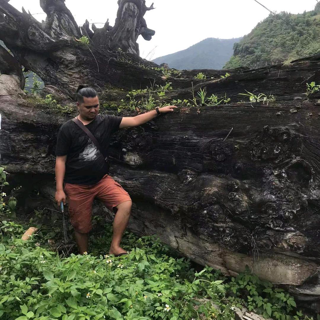 宏海木业