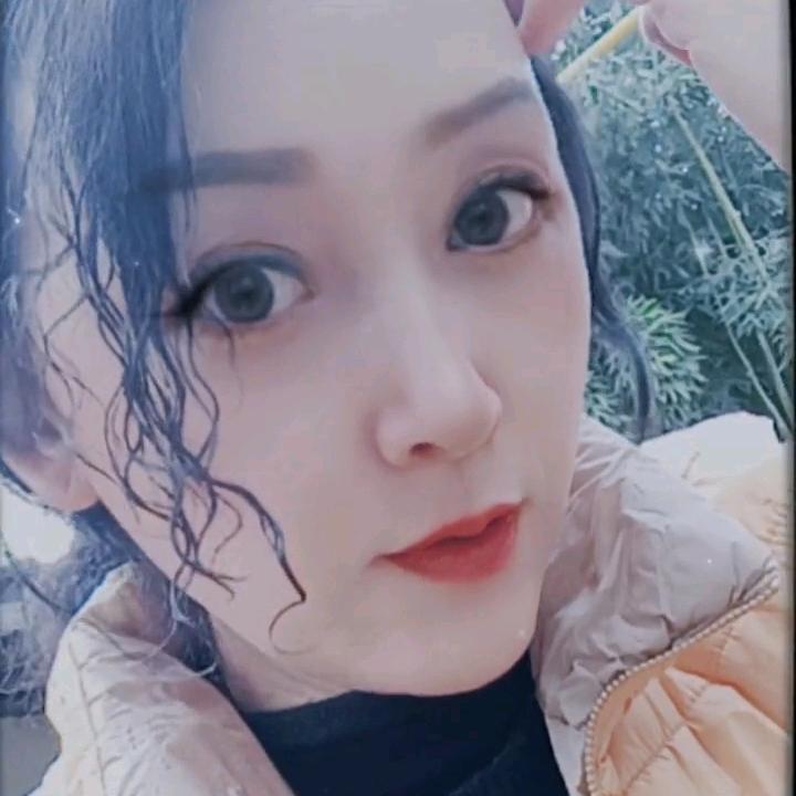 温馨的玫瑰