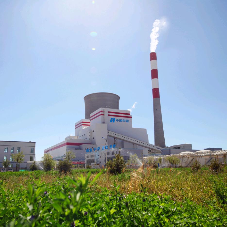 戈壁之光·八〇三