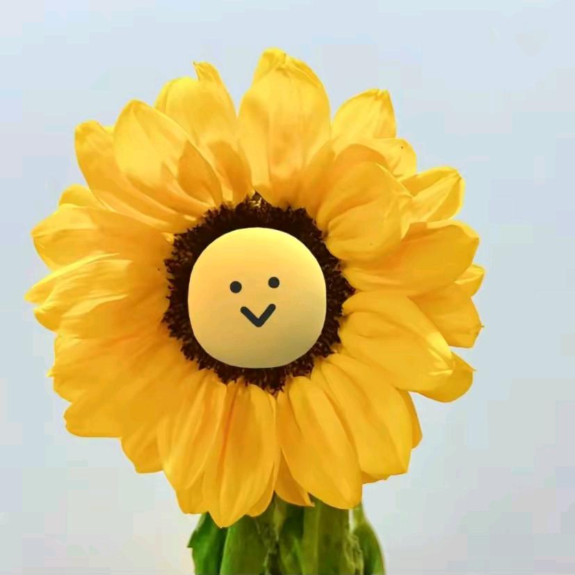 向日葵🌻🌻🌻