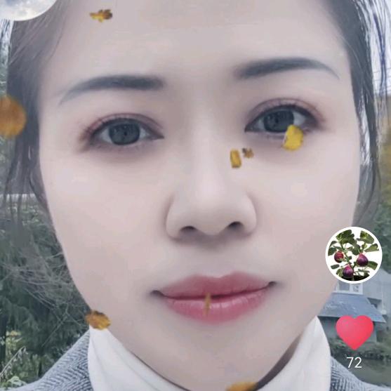 荔波甲良-绘涂仿石漆-芳姐