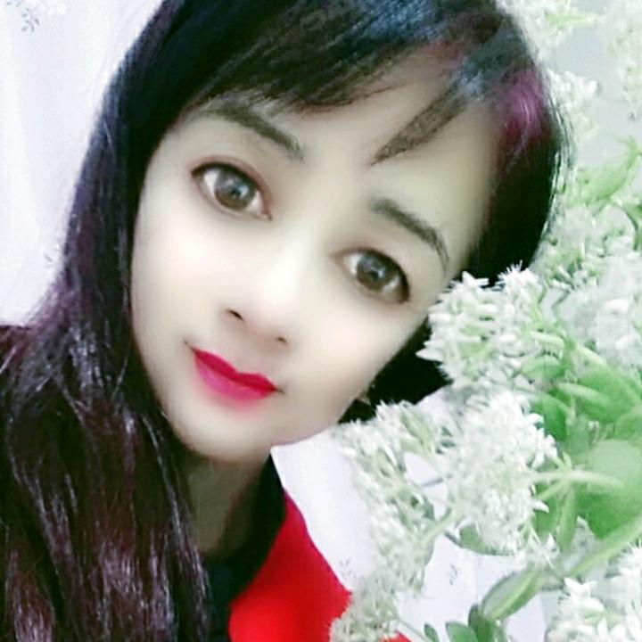 我的情深你若懂