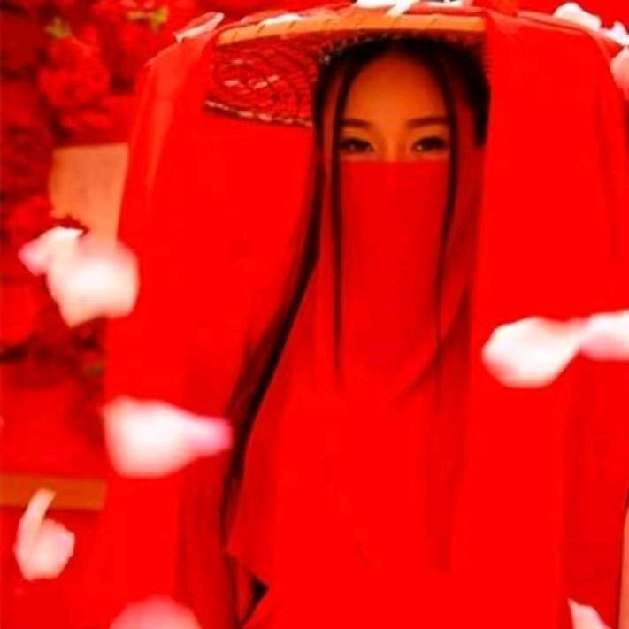 蒙面织女燕子