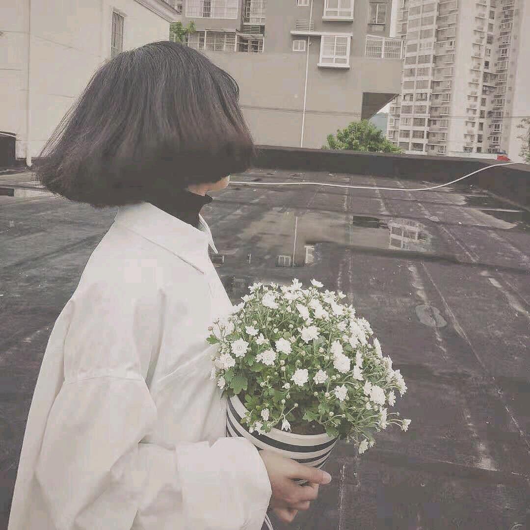 莫微