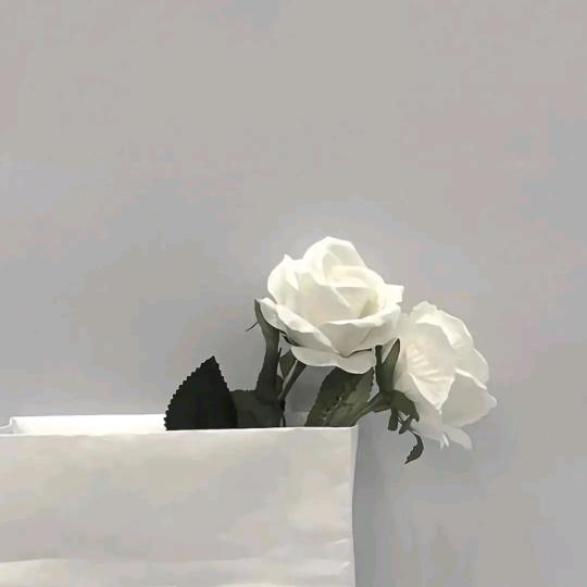 茫茫