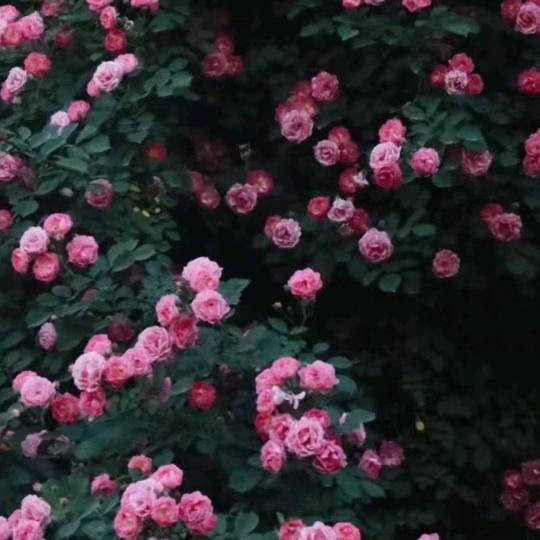 手插口袋谁也不爱