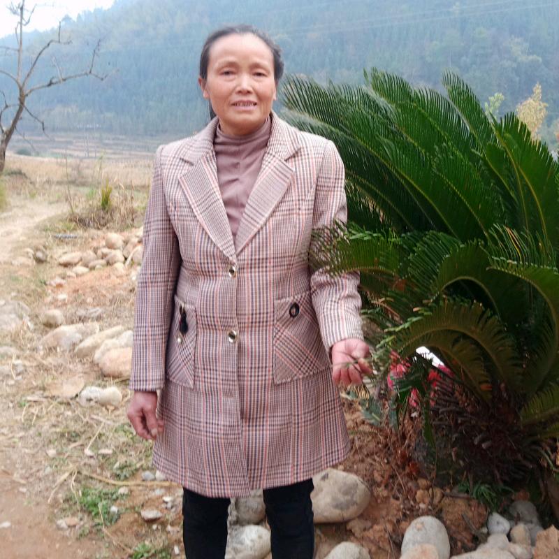 ： 丨讲一一演演