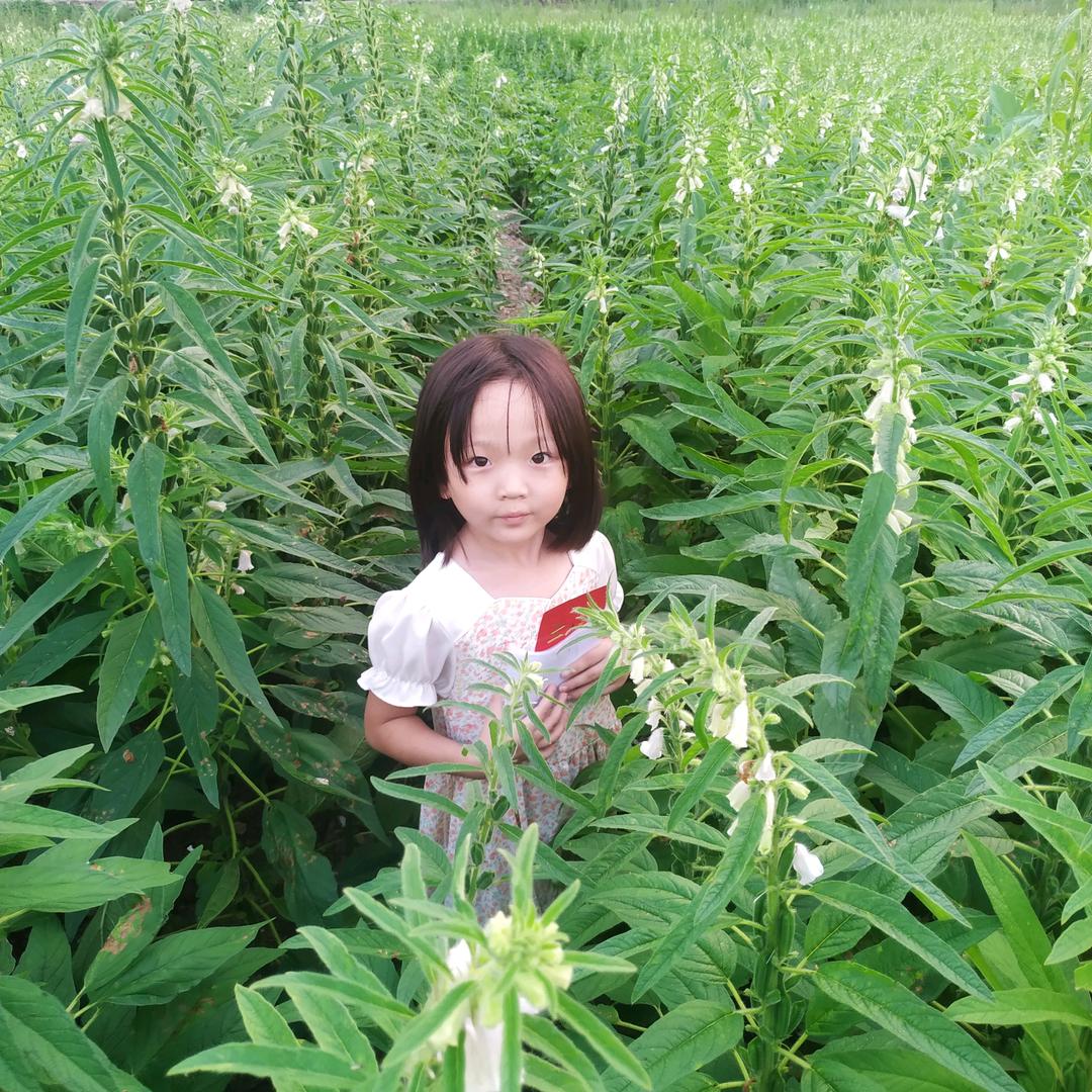 山狼