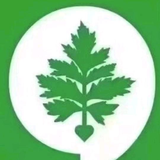 农民（艾灸）